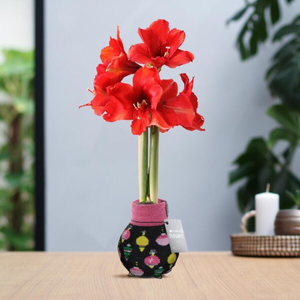 Fashionz Patterns Disco - Black + Red flower