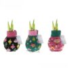 Fashionz Patternz Disco Mix (3 pack) + Red flower