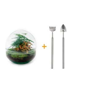 Dome Red + Rake + Shovel