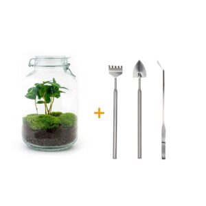 Coffea Arabica + Rake + Shovel + Tweezer
